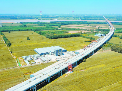 陽新高速公路黃河特大橋雛形初具